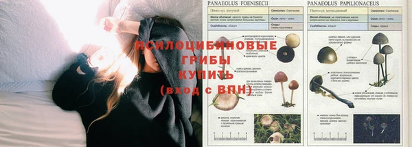 мескалин Алзамай