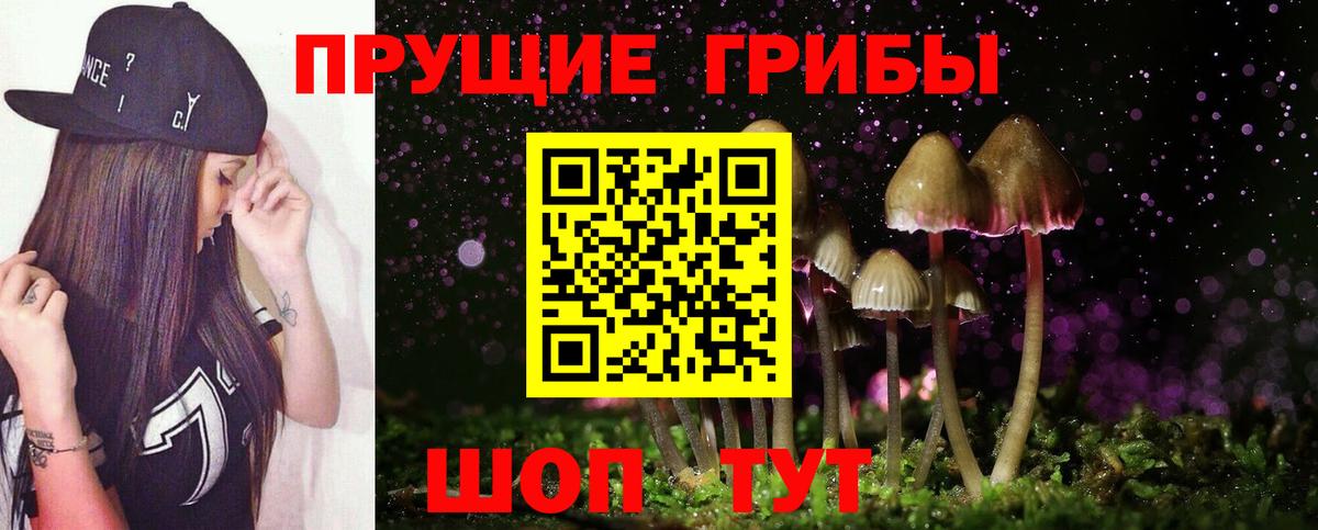 Псилоцибиновые грибы MAGIC MUSHROOMS Глазов